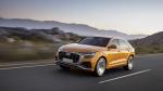 Audi Q8 50 TDI Quattro S-Line 2018 года (WW)